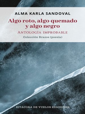 cover image of Algo roto, algo quemado y algo negro. Antología improbable